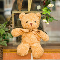Bear Plush Toys